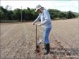 Amostragem de solos em lavoura com resteva da cultura de trigo.