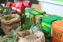 Investimento em novos mercados e produtos pode impulsionar erva-mate paranaense