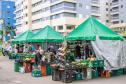 feira orgânicos