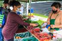 feira orgânicos