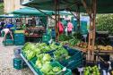 feira orgânicos