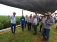 Eventos técnicos do agronegócio divulgam inovações no Norte do Paraná