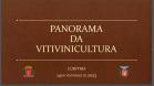 Programa de apoio à produção de uvas e derivados no Paraná reforça ações em 2023