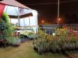 Festival Gastronômico valoriza agroindústria e cultura da região Central do Paraná
