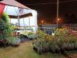 Festival Gastronômico valoriza agroindústria e cultura da região Central do Paraná