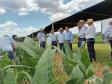 Eventos no Norte e Centro-Oeste discutem tecnologia e da inovação no agro