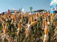 Eventos no Norte e Centro-Oeste discutem tecnologia e da inovação no agro