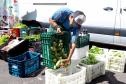 Programa Compra Direta Paraná inicia as primeiras entregas de alimentos