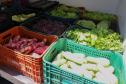 Programa Compra Direta Paraná inicia as primeiras entregas de alimentos