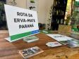 expolondrina