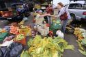Paraná inicia programa para reduzir desperdício de alimentos
