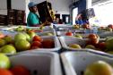 Paraná inicia programa para reduzir desperdício de alimentos