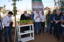 Trabalho de revitalização foi concluído e inaugurado. Projeto que tem a participação do Governo do Estado, prefeitura de Curitiba e moradores da região reúne 21 famílias, cada uma com um canteiro. 