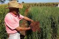  produtores adotam tecnologia de monitoramento da qualidade do manejo dos solos e o uso de plantas de adubação verde