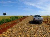 Várias ações estão sendo gestadas nas áreas de saneamento no meio rural, apoio à nutrição e segurança alimentar, pavimentação de estradas rurais e o fortalecimento das pequenas cooperativas e associações de produtores.