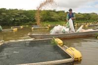 Várias ações estão sendo gestadas nas áreas de saneamento no meio rural, apoio à nutrição e segurança alimentar, pavimentação de estradas rurais e o fortalecimento das pequenas cooperativas e associações de produtores.