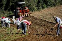 Várias ações estão sendo gestadas nas áreas de saneamento no meio rural, apoio à nutrição e segurança alimentar, pavimentação de estradas rurais e o fortalecimento das pequenas cooperativas e associações de produtores.