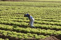 Várias ações estão sendo gestadas nas áreas de saneamento no meio rural, apoio à nutrição e segurança alimentar, pavimentação de estradas rurais e o fortalecimento das pequenas cooperativas e associações de produtores.