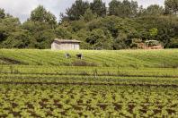 Serão adquiridos equipamentos e veículos beneficiando em torno de 13.400 agricultores. Governo do Estado dará contrapartida de R$ 7,2 milhões.