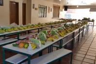Agricultura familiar