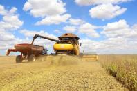 PIB agropecuário