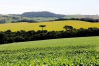 Preço de terras cresceu 12%