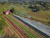 Banner Central - INCLUSÃO PRODUTIVA  DA AGRICULTURA FAMILIAR