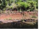 Figura 8 – Linha de pedra formada por transborde fluvial em Cambissolo Flúvico