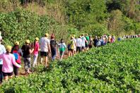 Caminhadas da Natureza