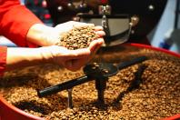 Mesmo com menor produção, café garante mais rendimento ao produtor paranaense