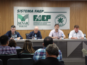 Sistema FAEP