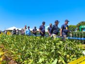 Copagril abre temporada de eventos agropecuários no Paraná 