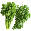 Cheiro verde