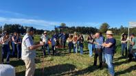 Mostra Tecnológica destaca integração lavoura-pecuária e soluções sustentáveis para a agropecuária no Paraná 