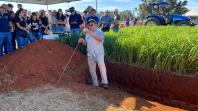 Mostra Tecnológica destaca integração lavoura-pecuária e soluções sustentáveis para a agropecuária no Paraná 