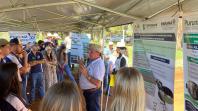 Mostra Tecnológica destaca integração lavoura-pecuária e soluções sustentáveis para a agropecuária no Paraná 