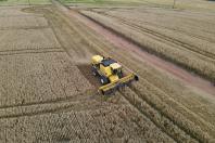 Colheita do trigo avança e confirma safra recorde em produtividade no Paraná, aponta Deral