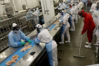 Retomada das exportações para a Malásia reforça liderança do Paraná na produção de frangos