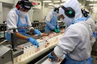 Retomada das exportações para a Malásia reforça liderança do Paraná na produção de frangos