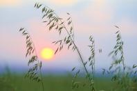 Com quase 47 milhões de toneladas, Paraná registra maior safra de grãos de sua história