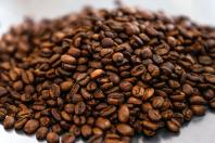 Café e soja garantem as maiores margens do ano para produtores paranaenses, aponta Deral