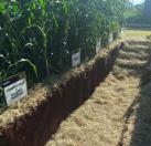 AgroTec 2026 consolida integração entre tecnologia, sustentabilidade e produção rural