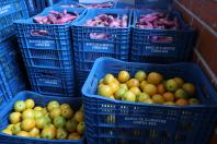 Aparência nem sempre é qualidade: Seab orienta a evitar desperdício de alimentos