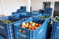 Aparência nem sempre é qualidade: Seab orienta a evitar desperdício de alimentos