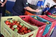 Aparência nem sempre é qualidade: Seab orienta a evitar desperdício de alimentos