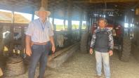 Programa no Paraná fortalece pecuária leiteira e aumenta rentabilidade dos produtores