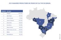 Foto: Anuário Peixe BR