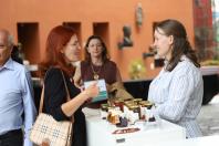 Rota da Uva & Vinho: Paraná lança circuito para impulsionar vitivinucultura e valorizar tradições