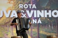 Rota da Uva & Vinho: Paraná lança circuito para impulsionar vitivinucultura e valorizar tradições