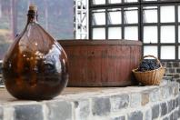 Rota da Uva & Vinho: Paraná lança circuito para impulsionar vitivinucultura e valorizar tradições